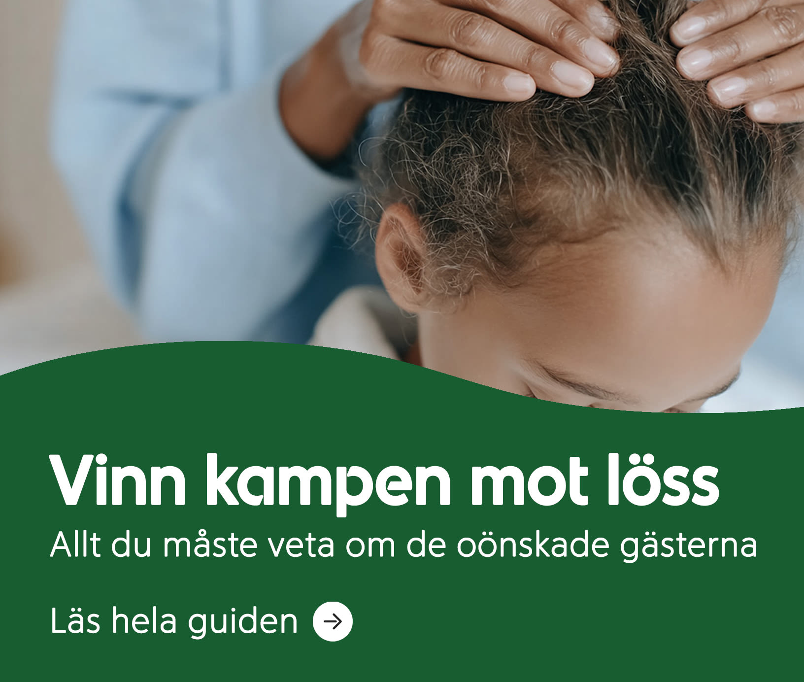 Så vinner du kampen mot löss. Allt du behöver veta om de oönskade gästerna. Läs hela guiden.