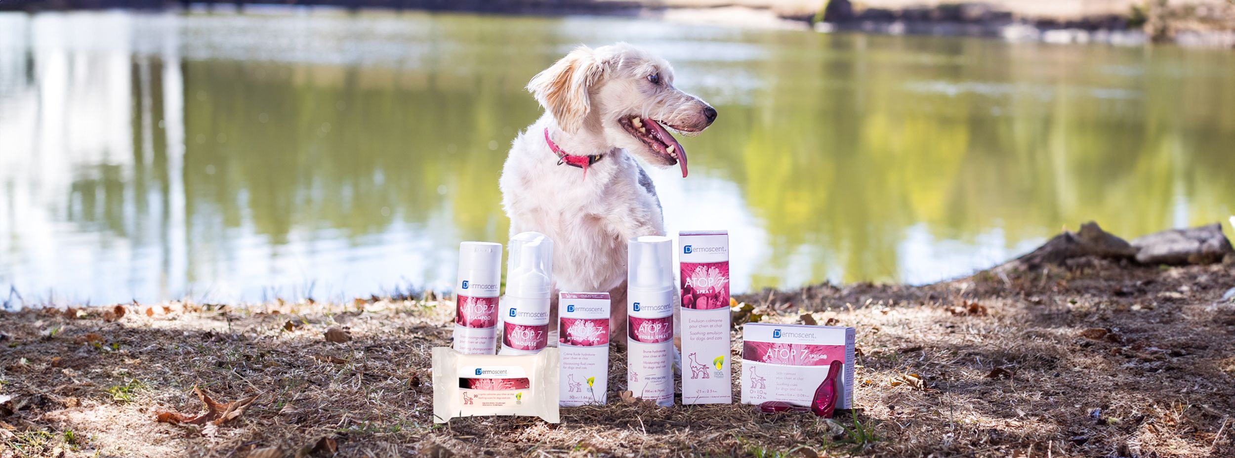 Hund sitter vid en sjö med flera Dermoscent Atop 7-produkter för husdjurshudvård placerade framför sig på marken.