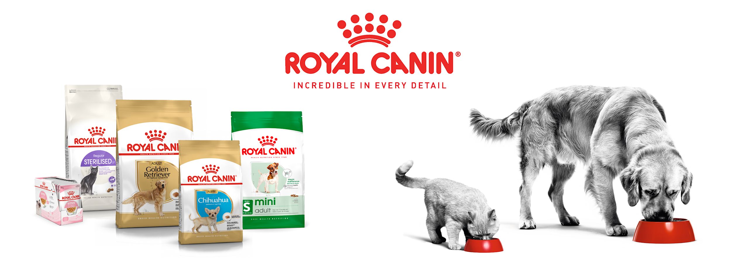 Royal Canin hund- och kattmatförpackningar står bredvid en katt och en hund som äter ur röda matskålar.