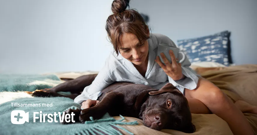 En kvinna och en brun hund ligger på sängen och myser.