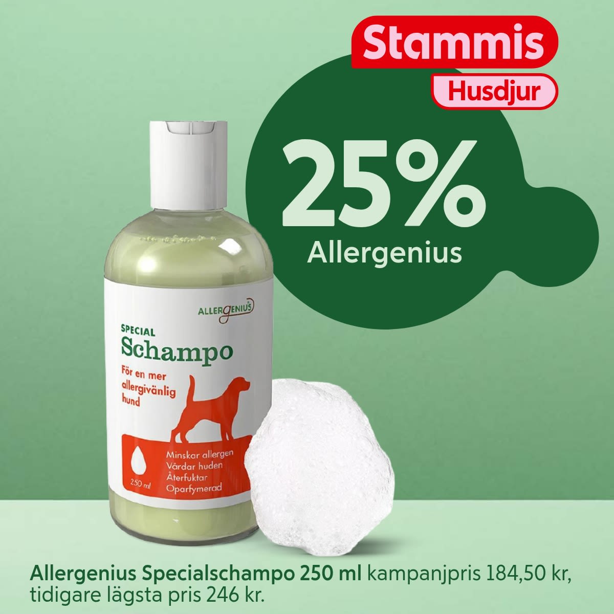 Flaska med Allergenius Specialschampo för hundar bredvid vit skumkula på grön bakgrund med text om 25% rabatt för medlemmar i Stammis husdjur.
