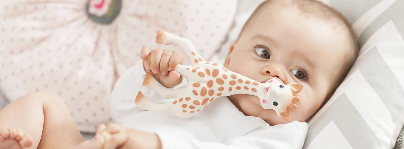 sophie la girafe