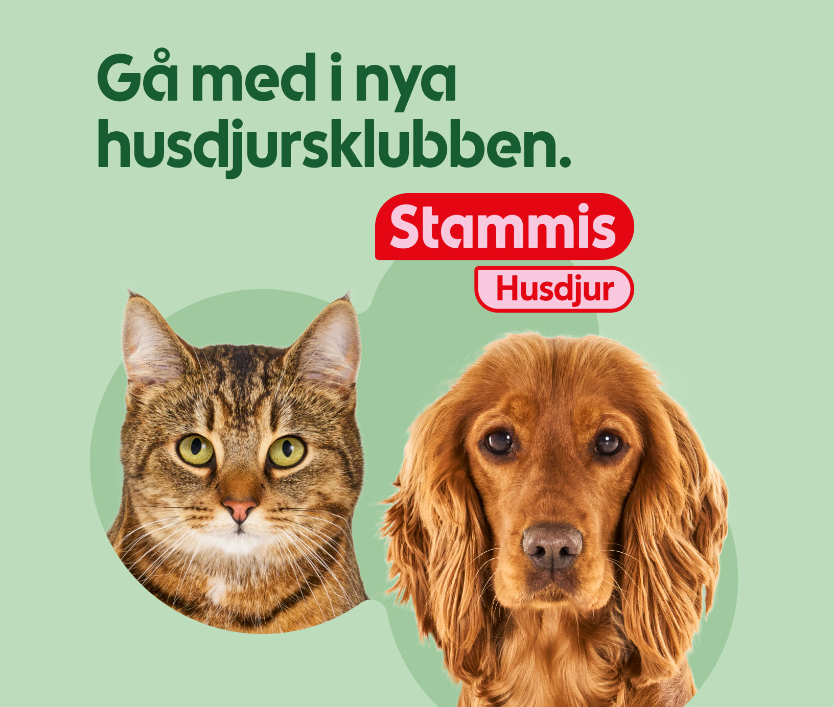 En brun tabbykatt och en brun spanielhund tittar fram mot betraktaren mot en ljusgrön bakgrund med texten "Gå med i nya husdjursklubben. Stammis Husdjur".